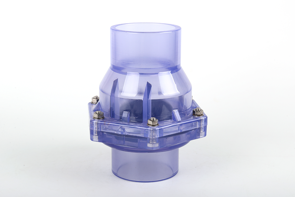 旅顺口透明翻板式止回阀